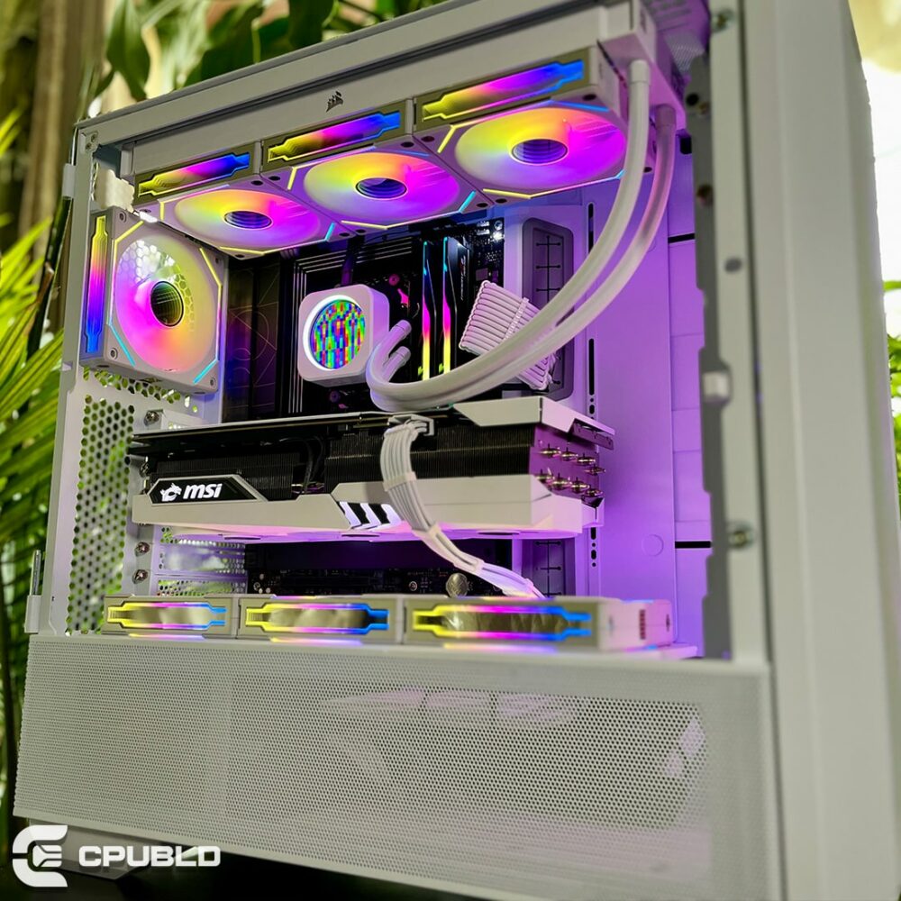 Project R - Image 3